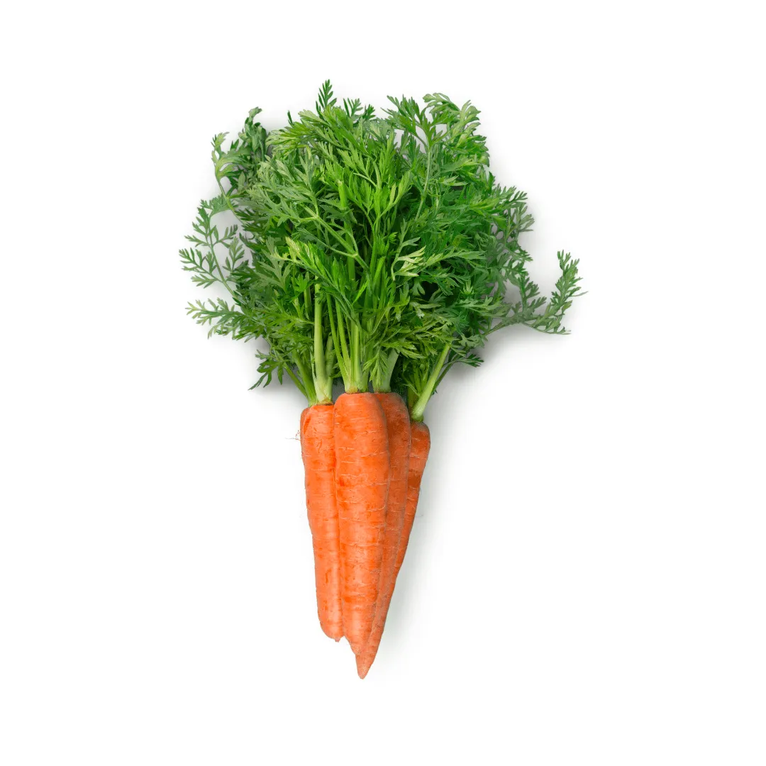 Carrot Nantes Coreless Seeds | West Coast Seeds